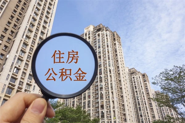 漯河公积金销户了钱没到账（公积金销户后钱没到账）